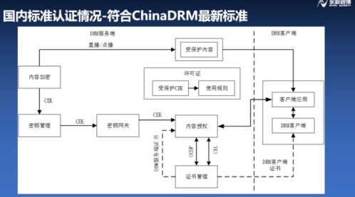 浦江論道 永新視博李自東談符合融媒體安全的版權保護系統，構建IPTV行業健康生態